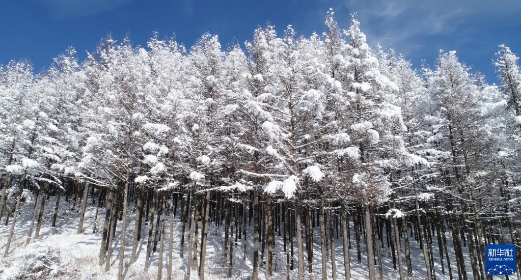 素裹|雪后六盘山