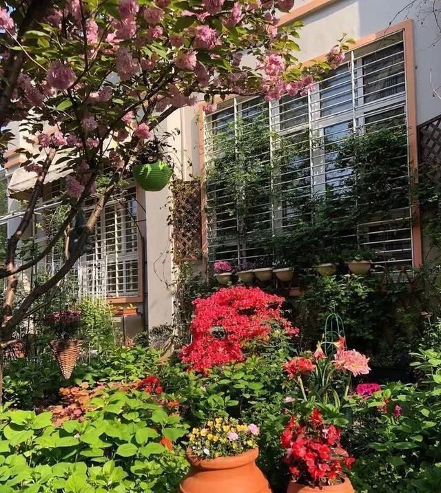 有了30平方的小院,能将日子过成了诗简单而精致,优雅而从容