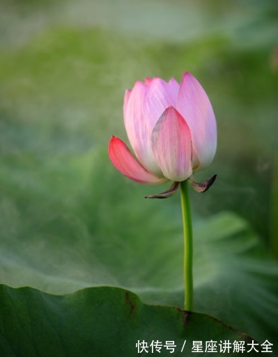 财源|4属相在下半年，迎来好运不断，桃花朵朵，财源广进，前途光明