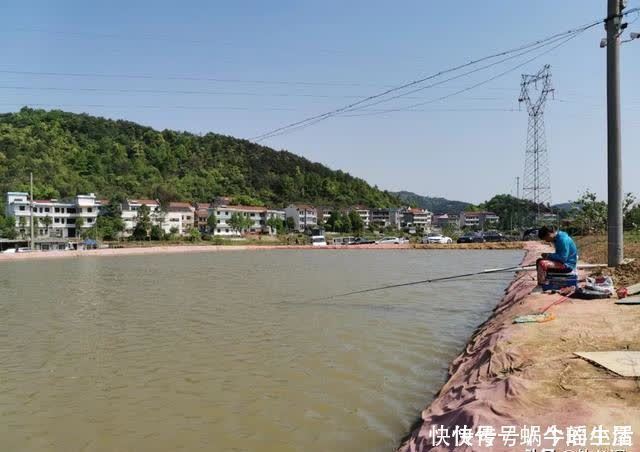 鱼竿|别拿野钓装备去玩黑坑,新手入坑须知:先得把这些渔具买齐了