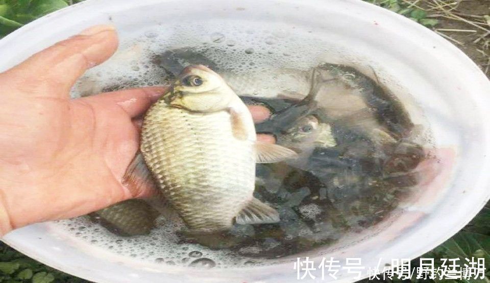 自从学会了自制钓鱼饵料,越做越上瘾,根本停不下来