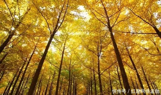 中国十大帝王陵,繁华尽处是苍凉!