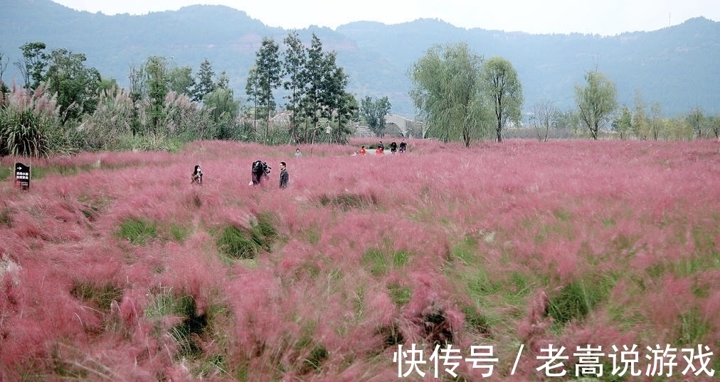 高坪|新晋热门旅游地高坪 秋季畅游风格迥异“十八景”