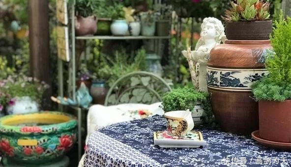 花儿|想要一个小院子,低头种菜,抬头看花!