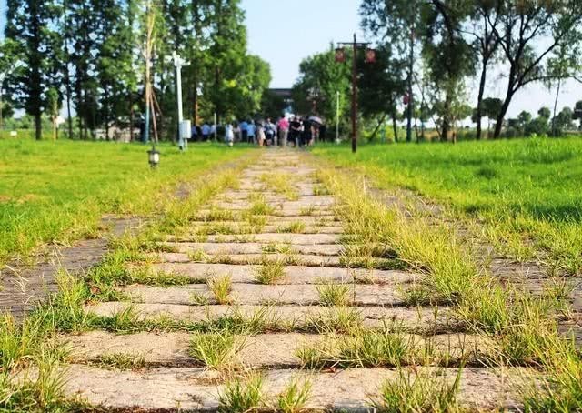  唯一|史上唯一和孔子齐名，去世后能让孔子亲笔题写碑文的人，到底是谁