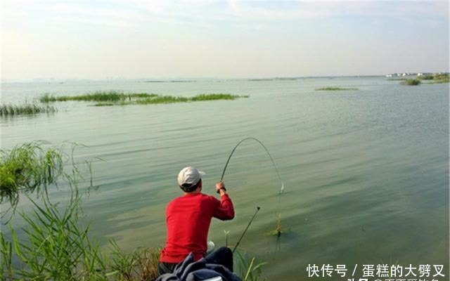 惊蛰前后钓鲫鱼，鱼多数“藏”在这些位置，遇上了赶紧“抢”