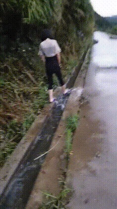 |搞笑GIF趣图:海象:“看你这么可爱的份上,我就配合一下吧!”