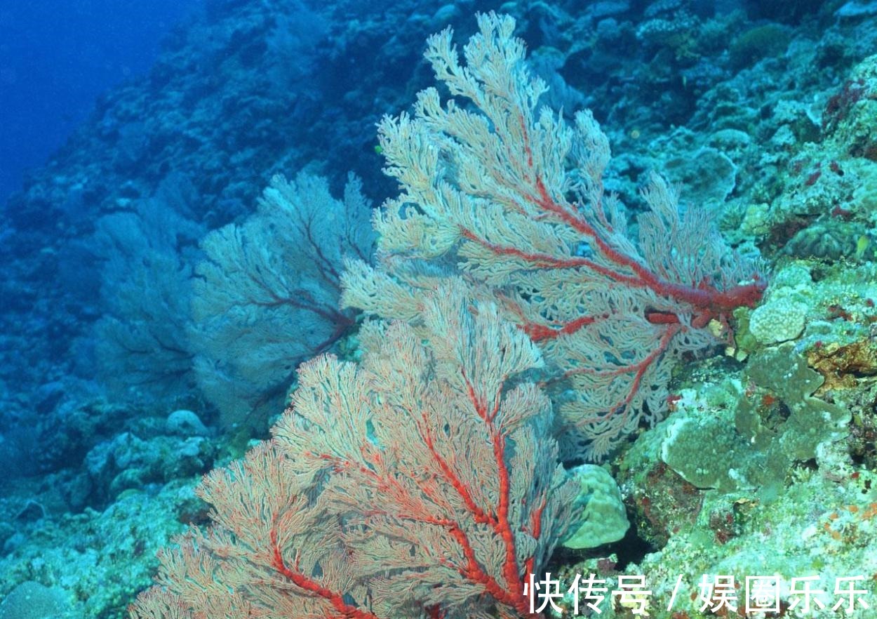 颗粒|抿起下巴凸起的小颗粒和痘痘, 究竟是什么 趁早知道, 否则越长越丑!