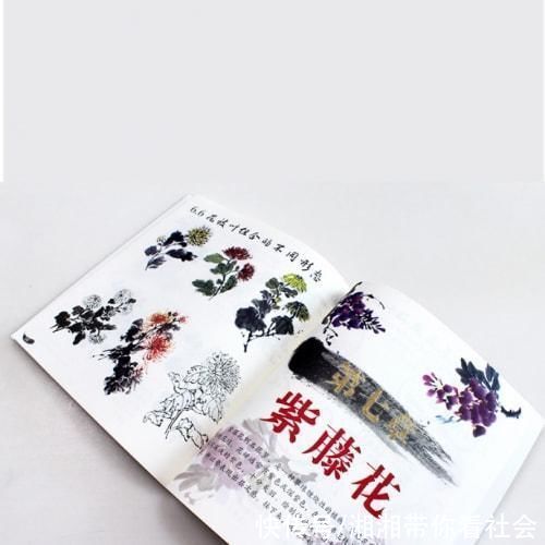 中国书画$河北青年画家邰树文绘画著作《新手国画花卉综合大字图版》出版发行