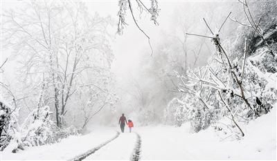 终南望余雪