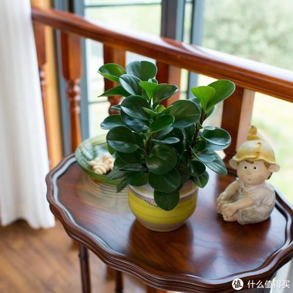 异味|新房子装修后,怎么去甲醛和异味,很多人第一步就做错了!