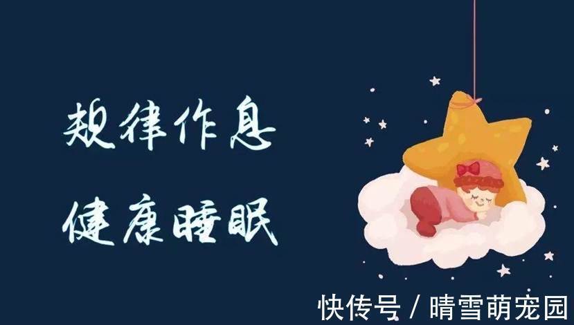 补阳|补阳“当家人”找到了，比吃生蚝有用，每天吃，肾会“雄壮”起来