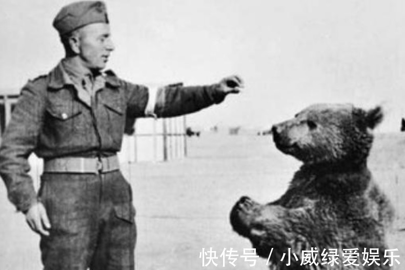 铜雀台赋|夫妻生活多久一次最好?张医生举例说明,简直太形象了!