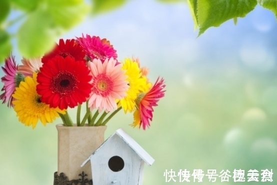 射手座|未来三天,4个星座,心情变好,不为小事生气,也不再愁眉苦脸