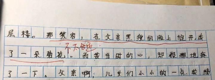 小学生的考试答案有多野？