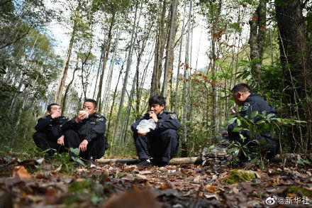 武夷山|武夷山国家公园里的巡山人