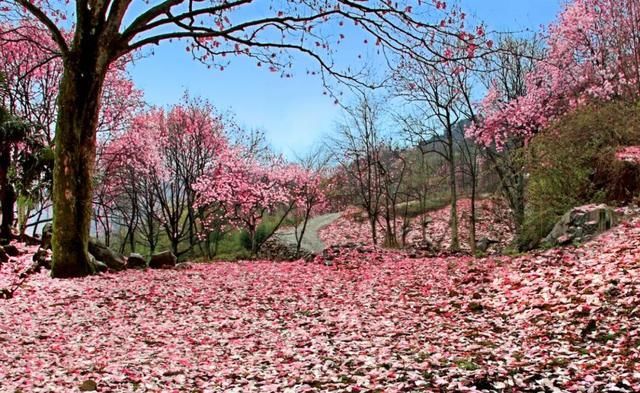 天府旅游名县|「文旅四川」遇见天府旅游名县丨相约北川，品文化游山水，自在生活乐逍遥