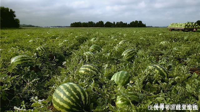 马扩|22个冷知识：虽然没有什么用处，但却使人知识渊博的有趣事实