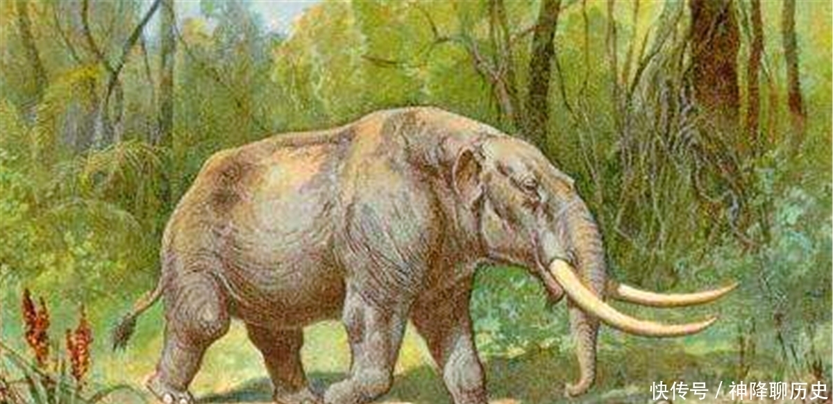 将军墓|古代女将军墓出土象牙杯,精美无比,专家:象群曾遍布中原大地