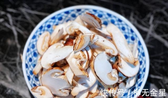 鸡油菌|食菌季｜瘦肉松茸汤！