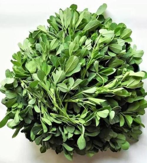 春天了，5样“野菜”别错过，包成饺子，鲜嫩美味，很好吃