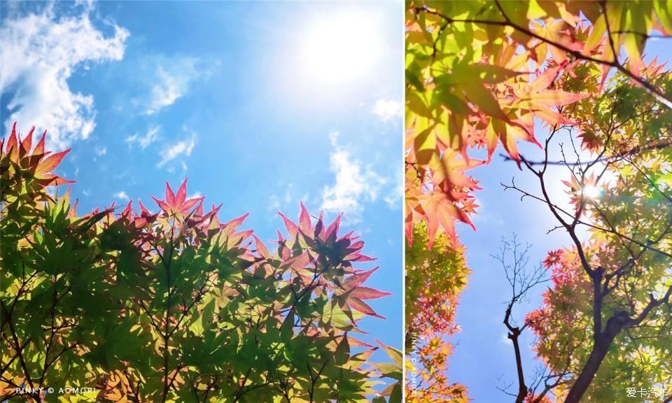 睡魔|日本青森夏日祭--神秘而热闹的睡魔祭