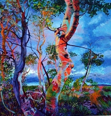 画面@凌乱的色彩,整体和谐的画面,美极了