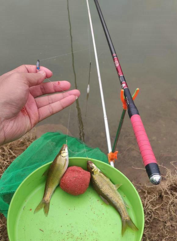 男子河里钓起四不像鱼,称“非常鲜”,网友不认识的鱼也敢吃