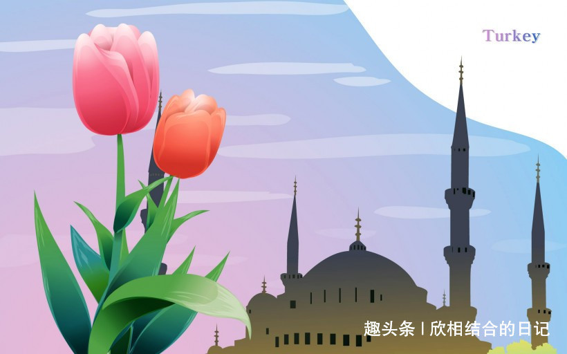 爱情|近期内,月老帮忙,转身遇见缘分与桃花,爱情不留余地的四大生肖