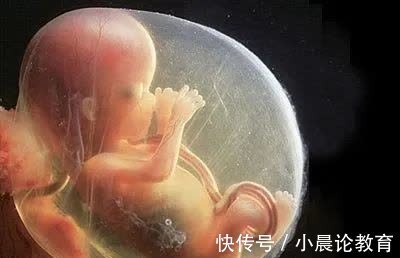 致畸因素|发育中的胎儿最怕这九大致畸因素,孕妈需远离!