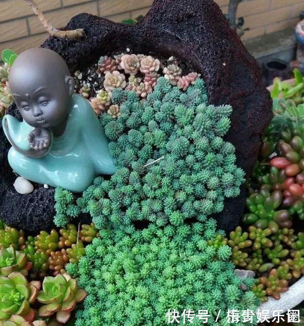 围栏|养多肉搭配什么样的花盆好?利用''碎花盆''造景,个个与众不同