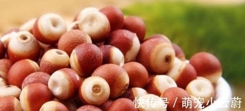 清洗干净|秋季健脾很重要,分享八种健脾的食物,多吃它们,顺利过秋季