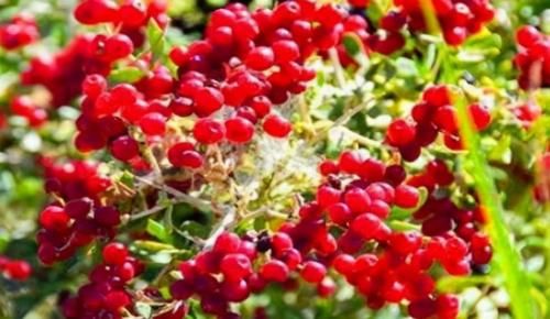 女性不想满脸皱纹，可以多吃3种食物，营养丰富，滋润肌肤！