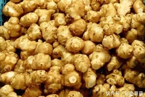 抗衰老|这些农村人见人爱的野菜，营养价值高，还有抗衰老的作用！