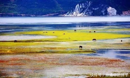 景点|香格里拉旅游景点有哪些