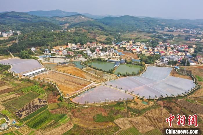 越冬池|航拍广西建设中的澳洲淡水龙虾基地 年产值预计达100万元