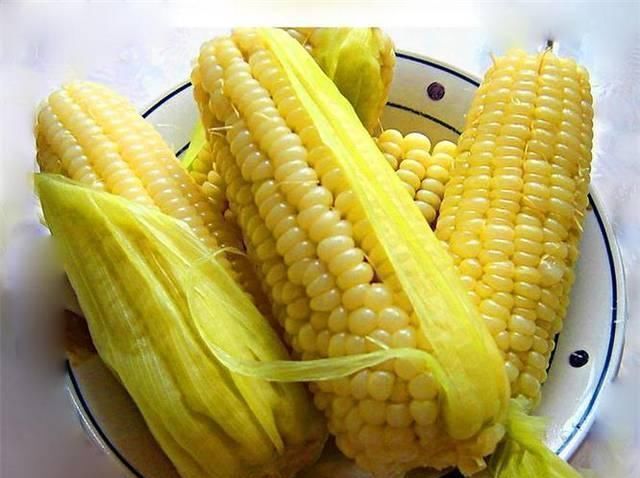 营养|女性爱吃四种食物,营养丰富、滋润肌肤,好处多多