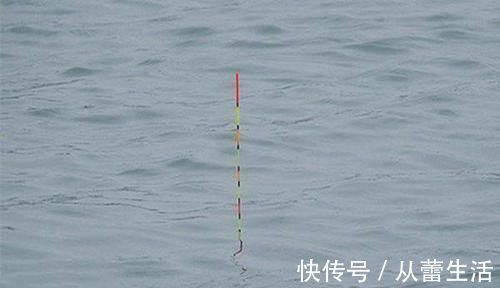调漂|准确调漂的两大标准，满足这几个条件，调漂就是靠谱的！
