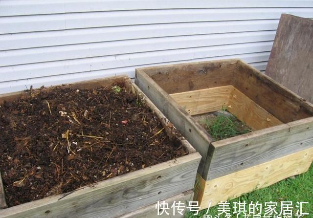 浇水|想要养好花先要养好根,根养好了,花儿才能长得旺,开花多