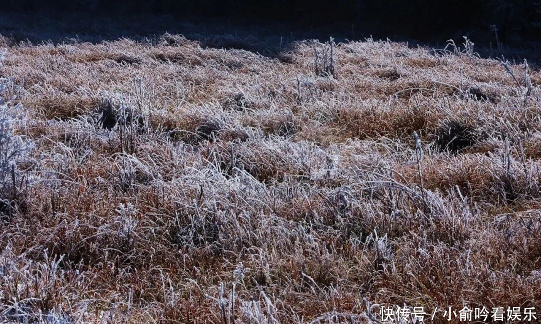 雪景|遂昌大美雪景图！让你一次看个够