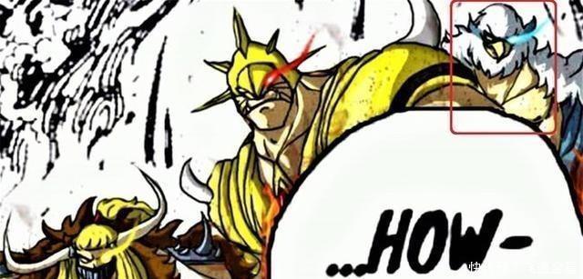 百兽|海贼王 百兽海贼团和原来有“四灾”,因为太太菜而被凯多除名!