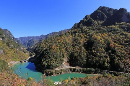 神农架|武当山、神农架、荆州古城……湖北这些景区今起陆续恢复开放