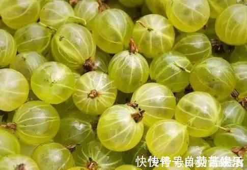 皮肤|女性想要皮肤好,推荐以下食物,排出毒素,补血益气,延缓衰老