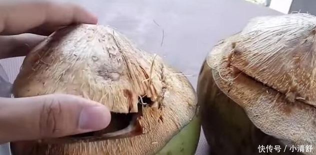椰子|街头买了两个“椰子”,十块钱一个,回家打开姐叫俺再去买两个