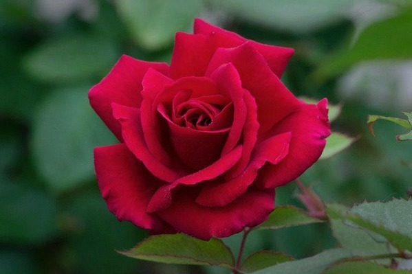 福气|每个晚年有福气的人,都在年轻时做了这四件事,才收获了福报!