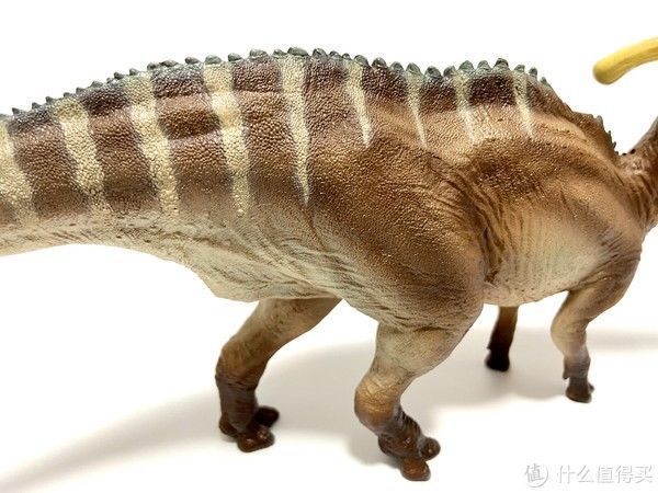 赵闯|恐龙模型 篇一:除了没有可动,其他基本完美——PNSO副栉龙把玩分享