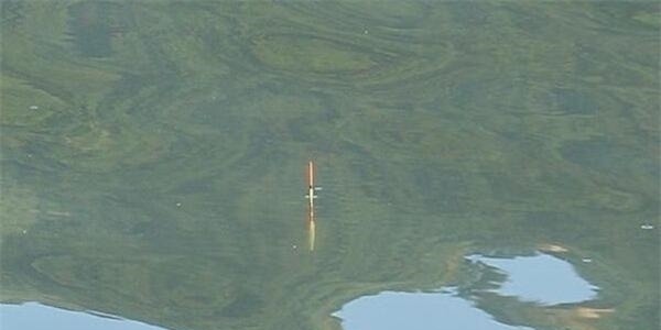 图解调漂的灵钝区别怎么调漂浮漂最灵敏，是钓鱼人的必修课