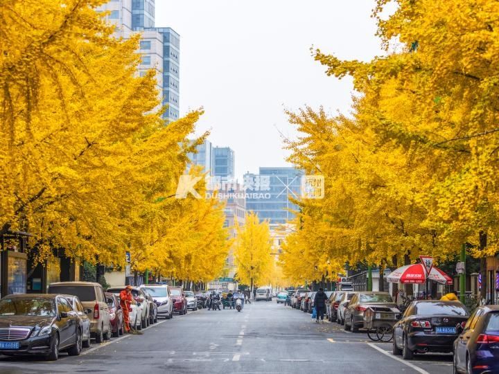 珍惜|杭城最金闪闪的一天，刷屏朋友圈！且看且珍惜啊……