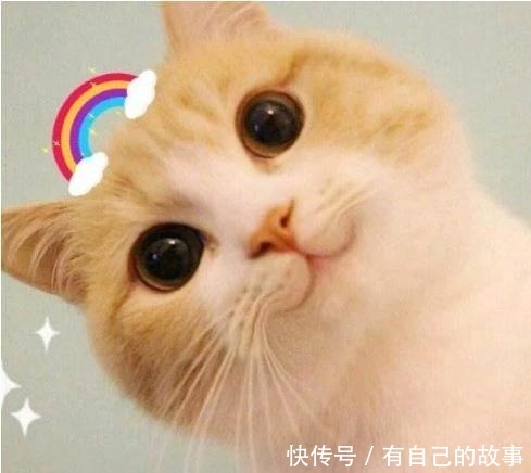 rua是什么梗又是什么意思