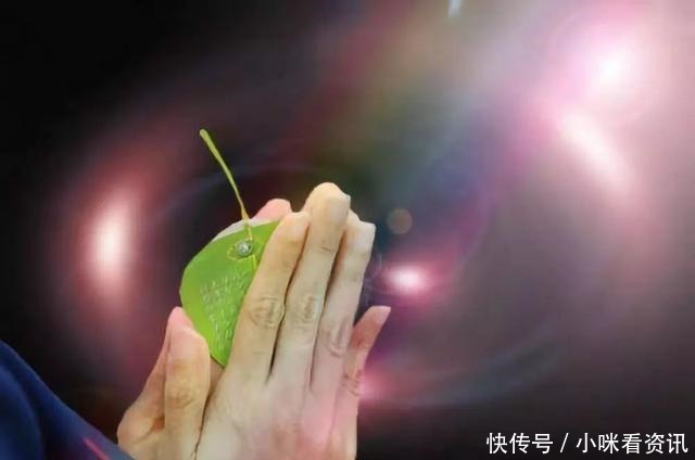 抓紧|99岁老和尚说,觉得福报不厚,这3件事抓紧去做,功德无量!